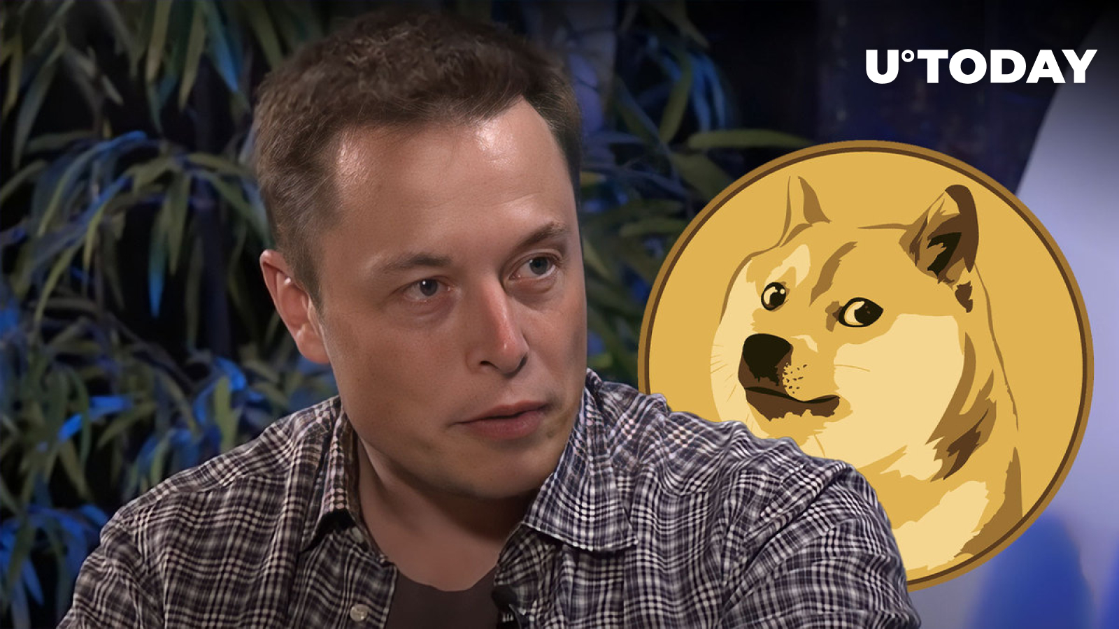 Understanding Elon Musk's Dogecoin Actions Understanding Elon Musk's Dogecoin Actions