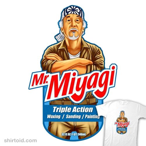 Understanding Mr. Miyagi's Wisdom In The Karate Kid Understanding Mr. Miyagi's Wisdom In The Karate Kid