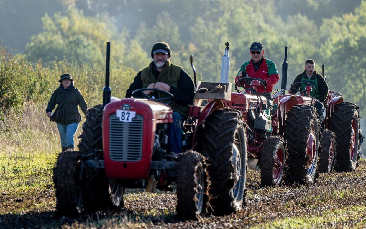 Understanding Reform UK's Stance On Farming Issues Understanding Reform UK's Stance On Farming Issues