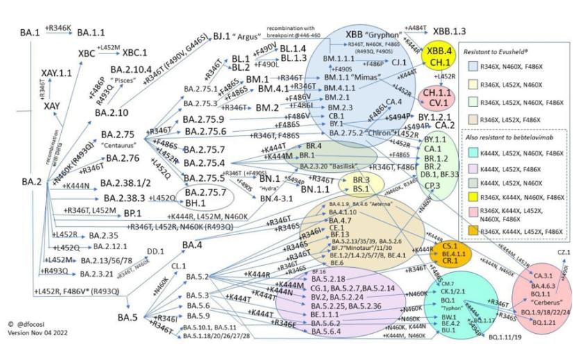 Understanding The Risk: INSACOG's Report On New COVID Variants BA.1 And LF.7 In India Understanding The Risk: INSACOG's Report On New COVID Variants BA.1 And LF.7 In India