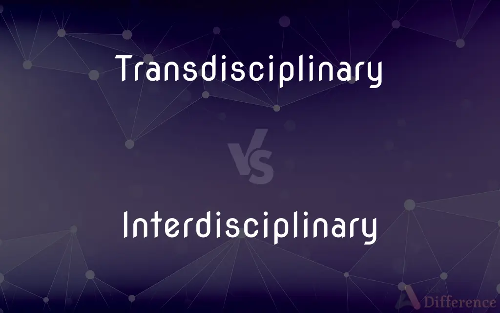 Understanding The Value Of Interdisciplinary And Transdisciplinary Methods Understanding The Value Of Interdisciplinary And Transdisciplinary Methods
