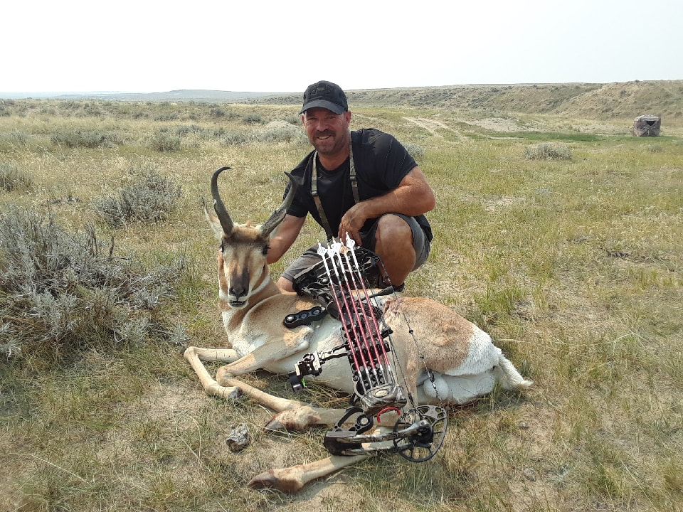 University Of Wyoming Releases Documentary On Pronghorn Winter Survival University Of Wyoming Releases Documentary On Pronghorn Winter Survival