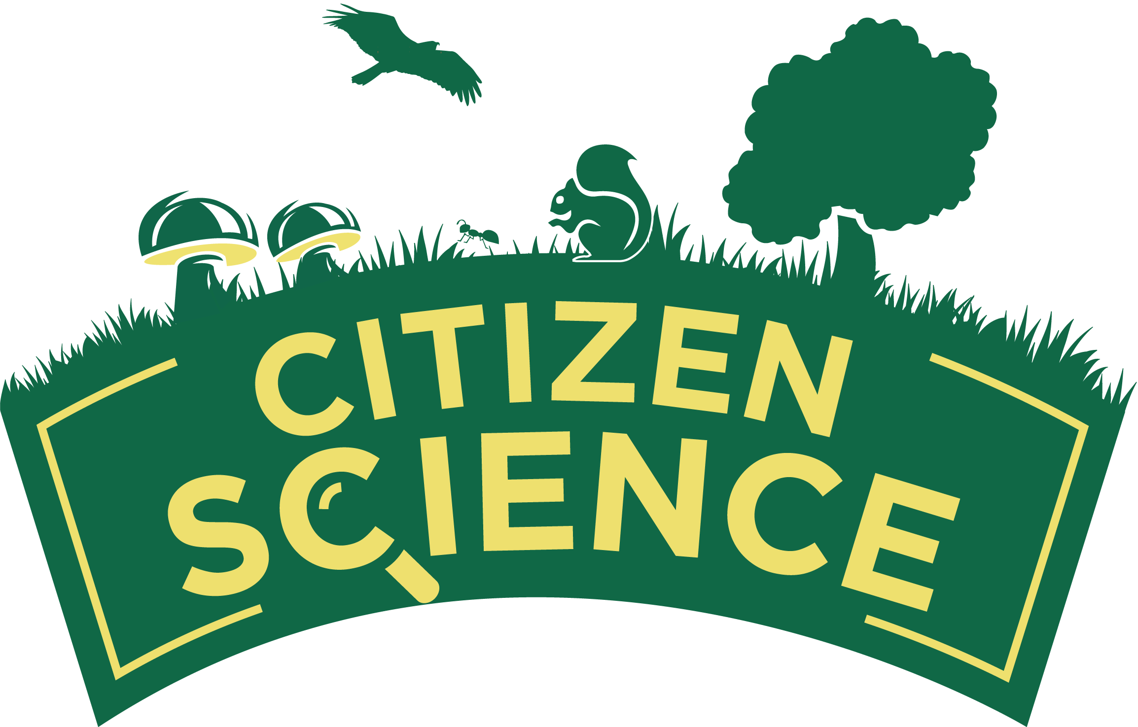 Unlocking Whidbey Clam Mysteries: A Citizen Science Approach Unlocking Whidbey Clam Mysteries: A Citizen Science Approach