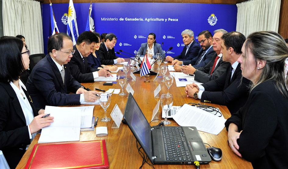 Uruguay Envía Peculiar Regalo A China Para Fortalecer Exportaciones Cárnicas Uruguay Envía Peculiar Regalo A China Para Fortalecer Exportaciones Cárnicas