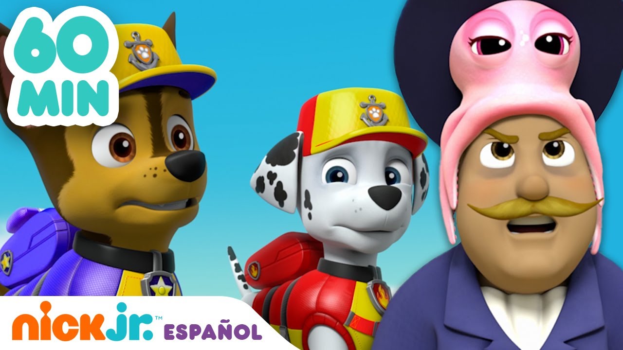 Ver Paw Patrol Piratas: 15 Minutos De Rescates En YouTube (Español Latino) Ver Paw Patrol Piratas: 15 Minutos De Rescates En YouTube (Español Latino)