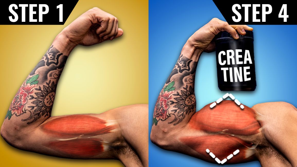 What Is Creatine And How Does It Work For Muscle Growth? What Is Creatine And How Does It Work For Muscle Growth?