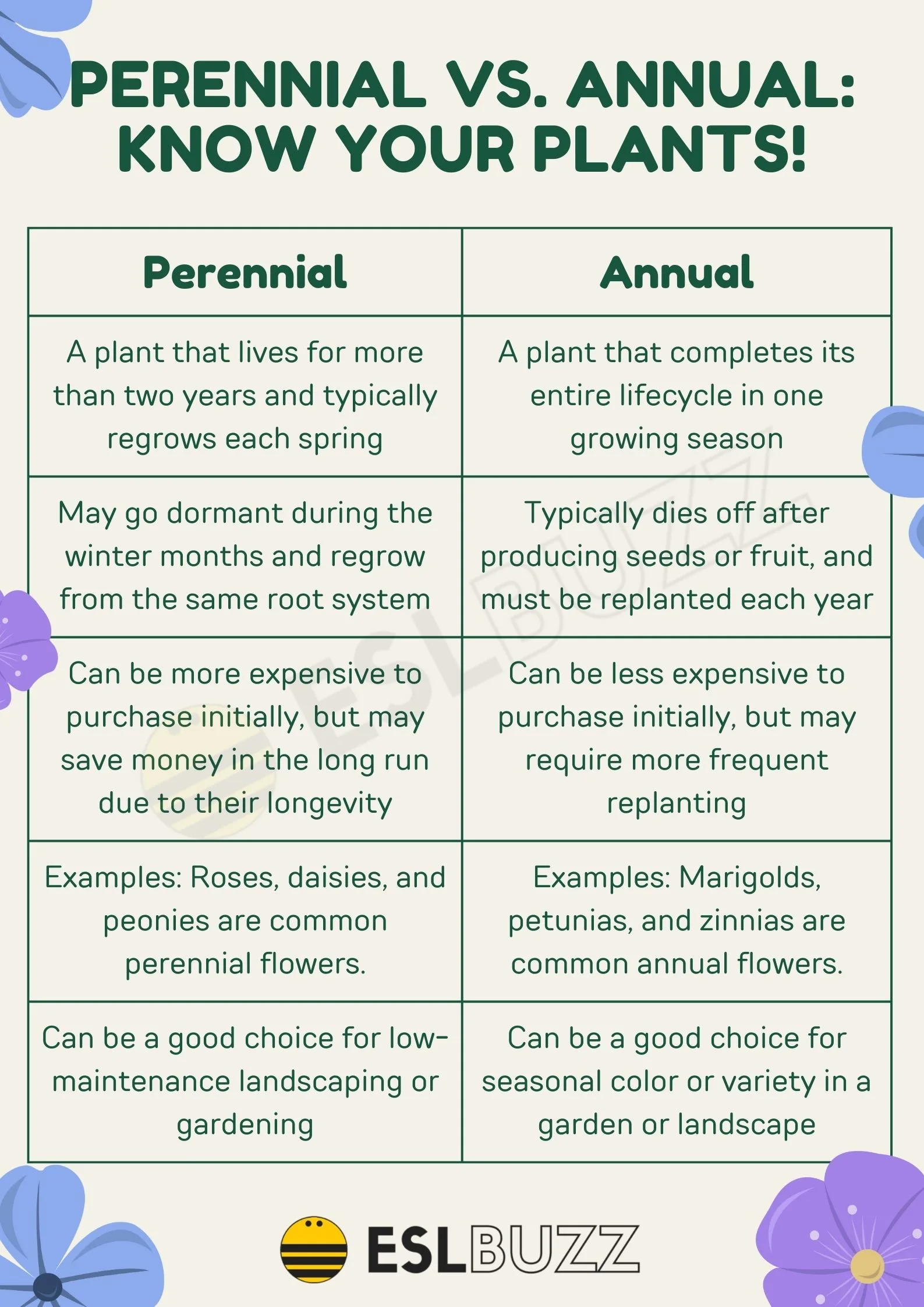 Which To Choose: Annuals Or Perennials For Your Flower Beds? Which To Choose: Annuals Or Perennials For Your Flower Beds?