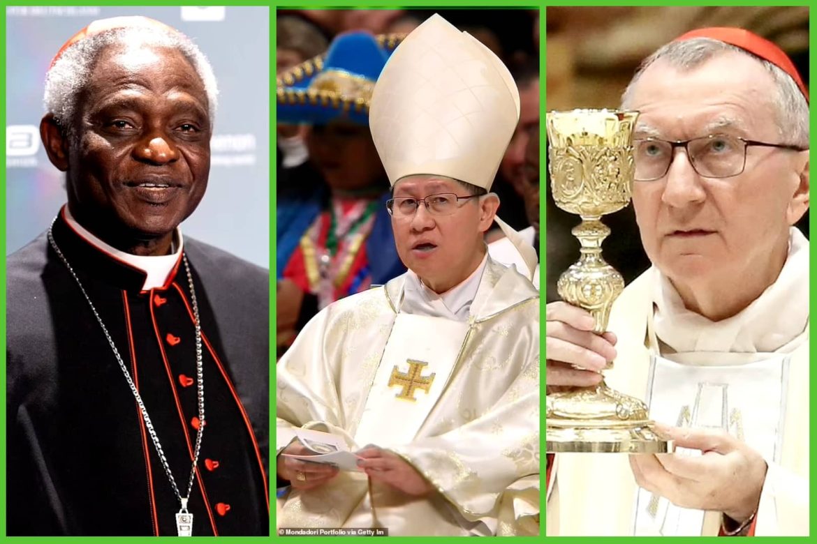 Who Will Be The Next Pope? Analyzing The Potential Successors To Pope Francis Who Will Be The Next Pope? Analyzing The Potential Successors To Pope Francis