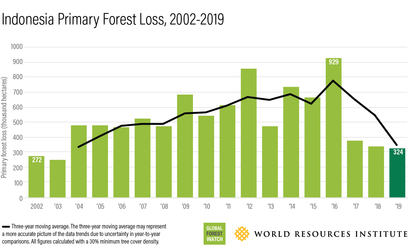 Wildfires And Deforestation: A Record Year Of Global Forest Loss Wildfires And Deforestation: A Record Year Of Global Forest Loss