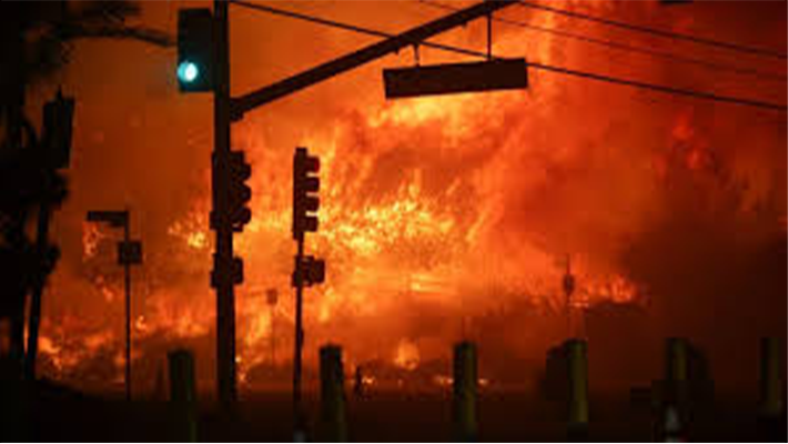 Wildfires Force Evacuations, Devastate Homes In Eastern Newfoundland Wildfires Force Evacuations, Devastate Homes In Eastern Newfoundland