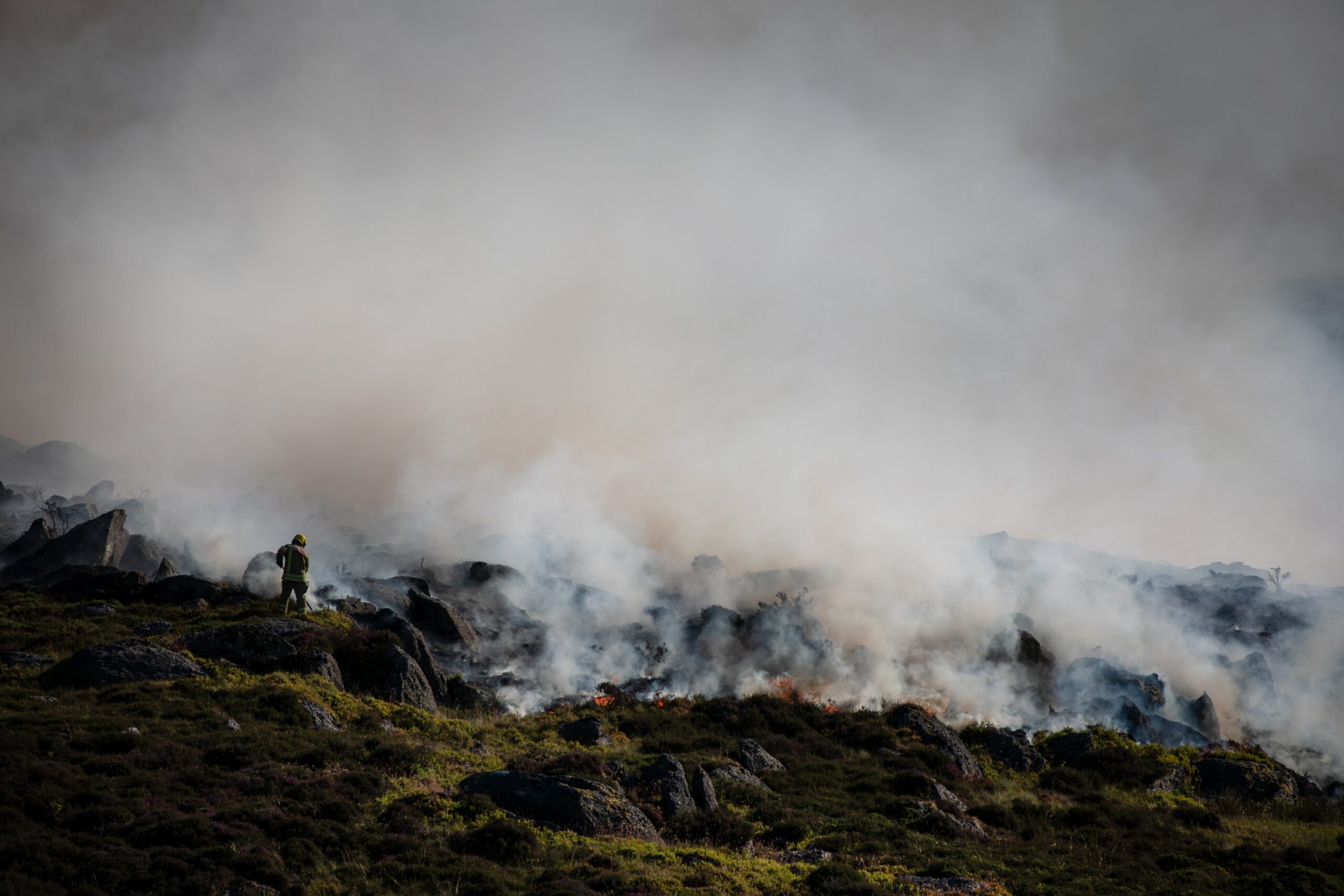 Wildfires Torch UK's Rarest Animals, Driving Them Towards Extinction Wildfires Torch UK's Rarest Animals, Driving Them Towards Extinction