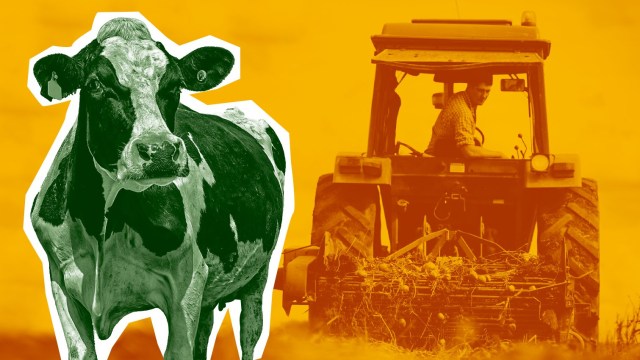 Will Reform UK Policies Benefit UK Farmers? Will Reform UK Policies Benefit UK Farmers?