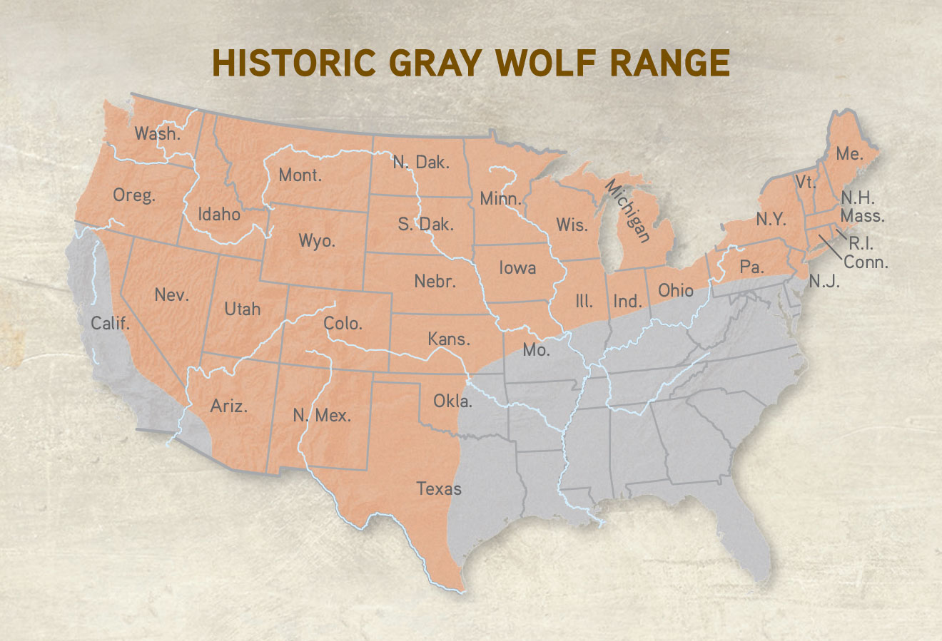 Wolves In The North State: A Growing Problem?