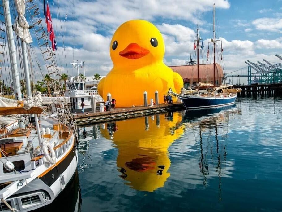 World's Largest Rubber Duck Arrives In Myrtle Beach With A Message World's Largest Rubber Duck Arrives In Myrtle Beach With A Message