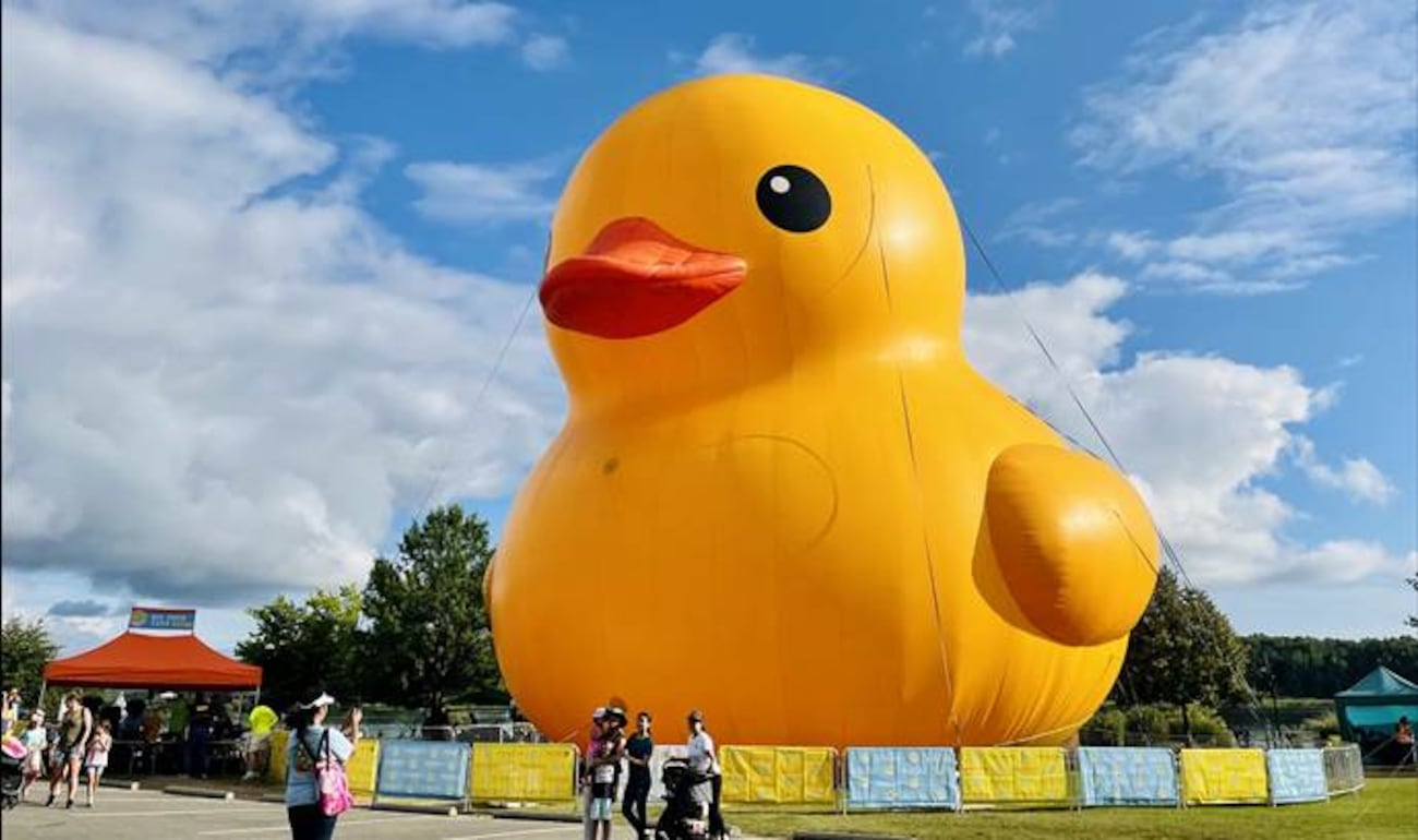 World's Largest Rubber Duck: Myrtle Beach Visit And Its Significance World's Largest Rubber Duck: Myrtle Beach Visit And Its Significance