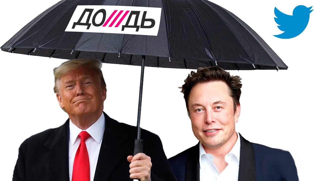 Яростная Критика От Стивена Кинга: Трамп И Маск В Центре Скандала Яростная Критика От Стивена Кинга: Трамп И Маск В Центре Скандала