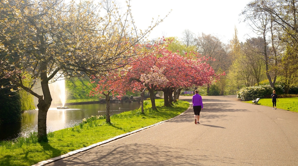 Your Guide To Getting Tickets For BBC Big Weekend 2025 At Sefton Park Your Guide To Getting Tickets For BBC Big Weekend 2025 At Sefton Park