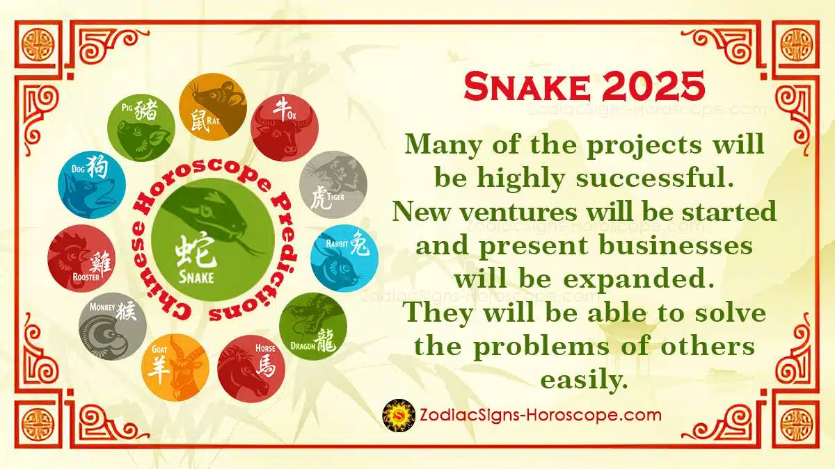 Zodiac Predictions For April 17, 2025: Daily Horoscope Zodiac Predictions For April 17, 2025: Daily Horoscope